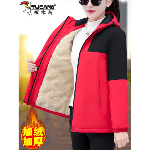 啄木鳥夾棉沖鋒衣外套女秋冬2025年新款夾克冬季加絨加厚棉衣棉服 啄木鳥夾棉沖鋒衣外套女秋冬2025年新款夾克冬季加絨加厚棉衣棉服