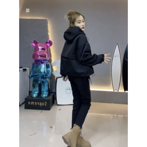 夾棉沖鋒衣外套女短款寬松防風上衣新款棉服歐貨女裝夾克二棉加厚 夾棉沖鋒衣外套女短款寬松防風上衣新款棉服歐貨女裝夾克二棉加厚