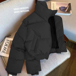 冬季新款立領加厚棉衣棉襖棉服女潮2025年經典時尚顯瘦麵包服外套