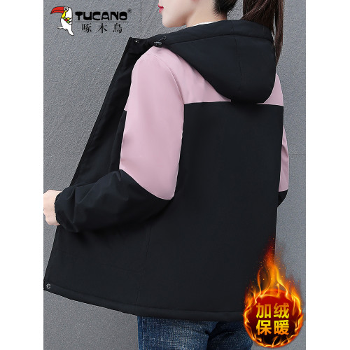 啄木鳥加絨棉衣女款冬季2025新款防風保暖短款沖鋒衣棉服加厚外套 啄木鳥加絨棉衣女款冬季2025新款防風保暖短款沖鋒衣棉服加厚外套