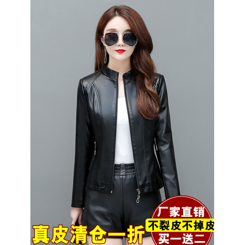真皮皮衣女短款2025春秋新款立領大碼休閒皮夾克韓版修身小外套潮 真皮皮衣女短款2025春秋新款立領大碼休閒皮夾克韓版修身小外套潮