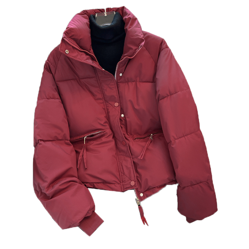 冬天獨特超好看晉江棉服棉衣女款冬季十三行夾棉棉襖外套2025新款 冬天獨特超好看晉江棉服棉衣女款冬季十三行夾棉棉襖外套2025新款