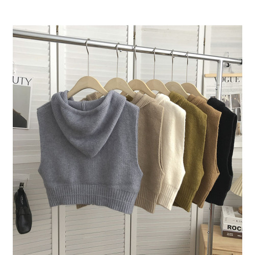 抽繩連帽拉鍊無袖針織馬甲女2025年秋裝韓版復古百搭外穿背心上衣 抽繩連帽拉鍊無袖針織馬甲女2025年秋裝韓版復古百搭外穿背心上衣