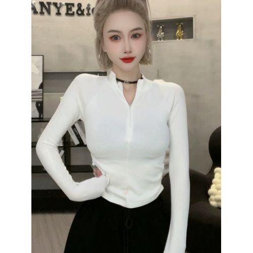 黑色長袖T恤打底衫女2025秋冬新款設計感小衆美式半高領拉鍊上衣