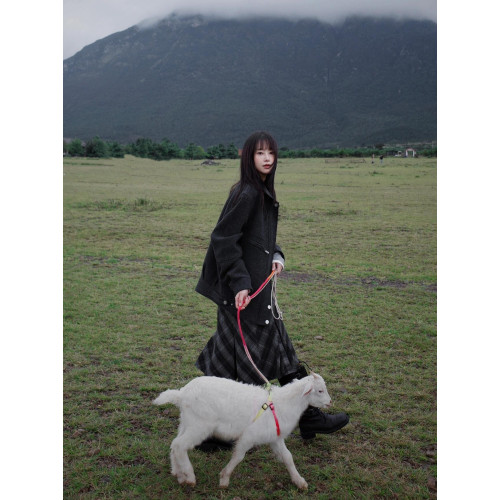 美式復古灰色格紋半身裙女2025春秋新款ins潮百搭休閒格子中長裙 美式復古灰色格紋半身裙女2025春秋新款ins潮百搭休閒格子中長裙