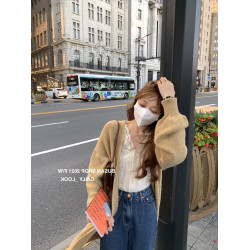 高級感法式小衆上衣初秋溫柔超仙蕾絲衫V領襯衫長袖獨特漂亮小衫