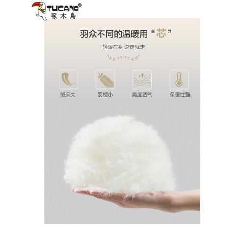 啄木鳥白鴨絨羽絨服女2025冬季新款輕薄保暖小個子外套洋氣上衣潮 啄木鳥白鴨絨羽絨服女2025冬季新款輕薄保暖小個子外套洋氣上衣潮