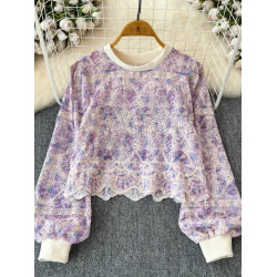 2025秋季新款法式復古圓領蕾絲拼接長袖衛衣女設計感小衆短款上衣