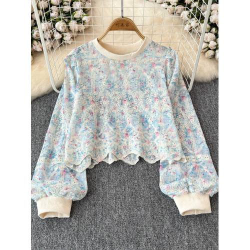 2025秋季新款法式復古圓領蕾絲拼接長袖衛衣女設計感小衆短款上衣 2025秋季新款法式復古圓領蕾絲拼接長袖衛衣女設計感小衆短款上衣