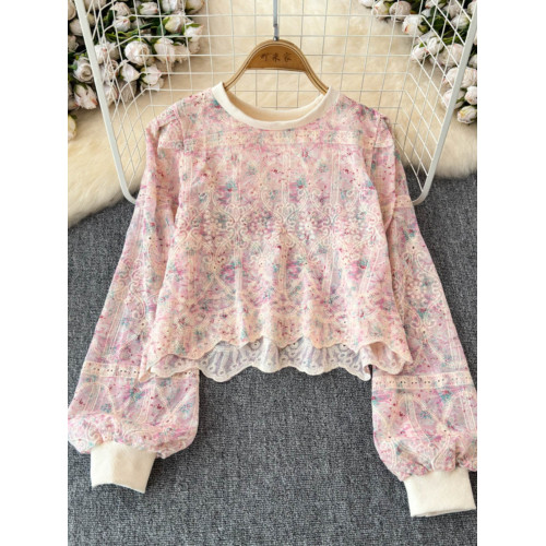 2025秋季新款法式復古圓領蕾絲拼接長袖衛衣女設計感小衆短款上衣 2025秋季新款法式復古圓領蕾絲拼接長袖衛衣女設計感小衆短款上衣