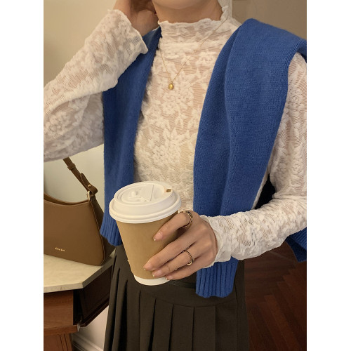 2025年秋新款百搭洋氣網紗小衫女半高領蕾絲打底衫長袖毛衣內搭紗