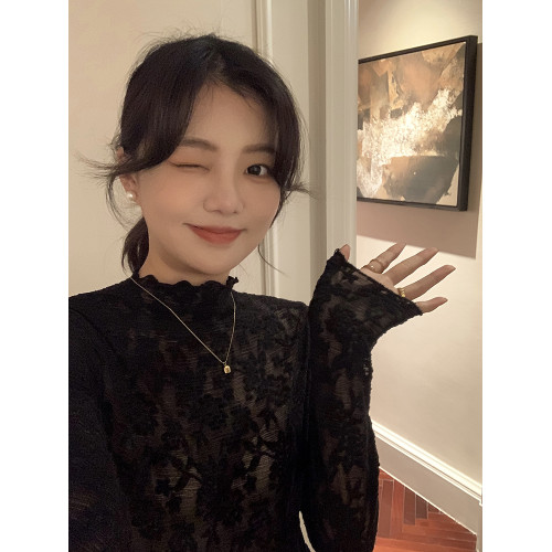 2025年秋新款百搭洋氣網紗小衫女半高領蕾絲打底衫長袖毛衣內搭紗