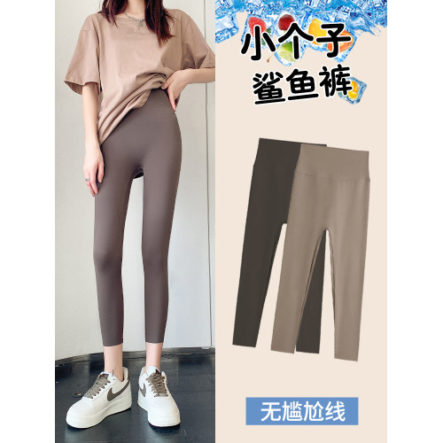 八分鯊魚褲女外穿夏季薄款小個子瑜珈褲打底褲春秋冬2025新款加絨 八分鯊魚褲女外穿夏季薄款小個子瑜珈褲打底褲春秋冬2025新款加絨