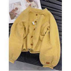 早秋小個子穿搭黃色外搭針織開衫軟糯高級慵懶風毛衣女秋冬款上衣