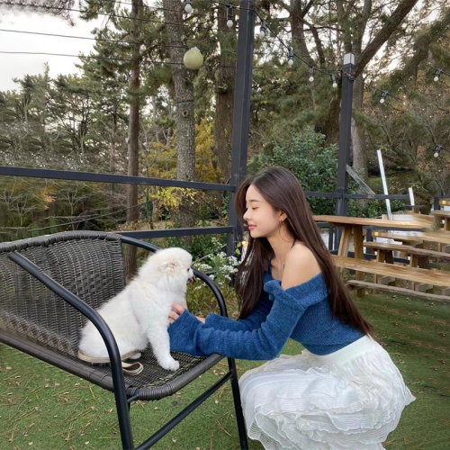 早春秋上衣單身即地獄宋智雅同款一字領克萊因藍毛衣針織衫女 早春秋上衣單身即地獄宋智雅同款一字領克萊因藍毛衣針織衫女