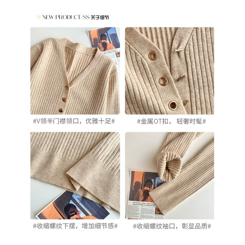 高級感V領針織打底衫女秋冬2025春季坑條洋氣軟糯毛衣ins內搭上衣 高級感V領針織打底衫女秋冬2025春季坑條洋氣軟糯毛衣ins內搭上衣