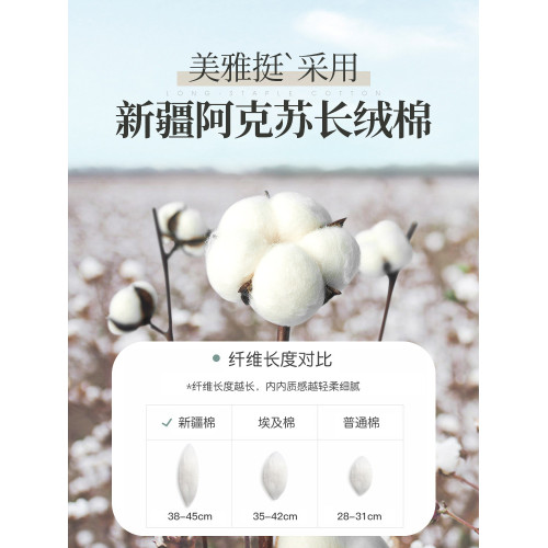 美雅挺7a級抗菌女士內褲女純棉高腰收腹透氣全棉中腰三角短褲頭夏