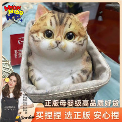 「限量髮行」高定版Meow Mioo貓咪寵物捏捏樂矽膠解壓玩具女禮物