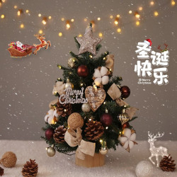 聖誕節裝飾聖誕樹2025新款迷你小型diy桌面家用ins風擺件場景布置