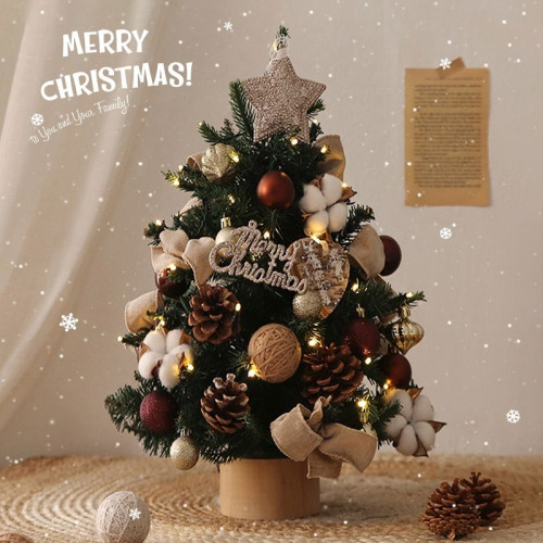 聖誕節裝飾聖誕樹2025新款迷你小型diy桌面家用ins風擺件場景布置 聖誕節裝飾聖誕樹2025新款迷你小型diy桌面家用ins風擺件場景布置