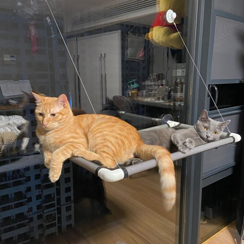 貓吊床掛窩吸盤式貓窩四季通用貓咪陽台吊床窩秋千小寵物貓咪用品 貓吊床掛窩吸盤式貓窩四季通用貓咪陽台吊床窩秋千小寵物貓咪用品