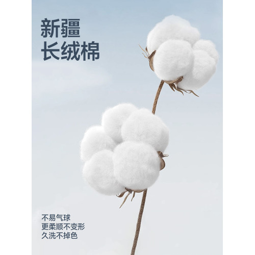 貓人新款女士小腿襪過膝中筒黑白學生襪女生JK小皮鞋穿搭