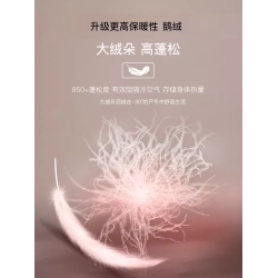 貓人女士德絨發熱保暖背心加厚無痕內穿秋衣蠶絲打底上衣冬季新款