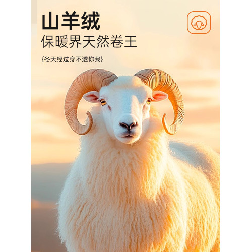 雅鹿加絨保暖背心女款髮熱絨德內衣2025新款冬季貼身打底女士秋衣 雅鹿加絨保暖背心女款髮熱絨德內衣2025新款冬季貼身打底女士秋衣