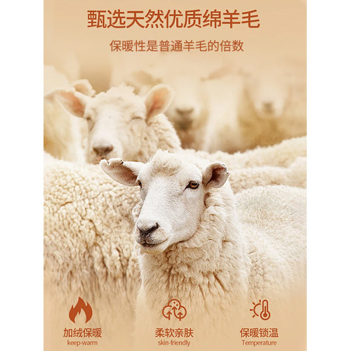 羊絨保暖背心女帶胸墊秋冬加絨髮熱胸罩一體式內衣冬季內搭打底衫 羊絨保暖背心女帶胸墊秋冬加絨髮熱胸罩一體式內衣冬季內搭打底衫