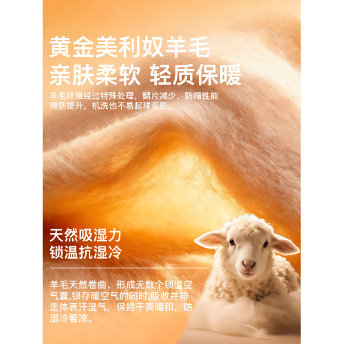 內茵長袖羊毛保暖上衣女內衣帶胸墊打底衫秋冬新款無痕內搭秋衣女 內茵長袖羊毛保暖上衣女內衣帶胸墊打底衫秋冬新款無痕內搭秋衣女