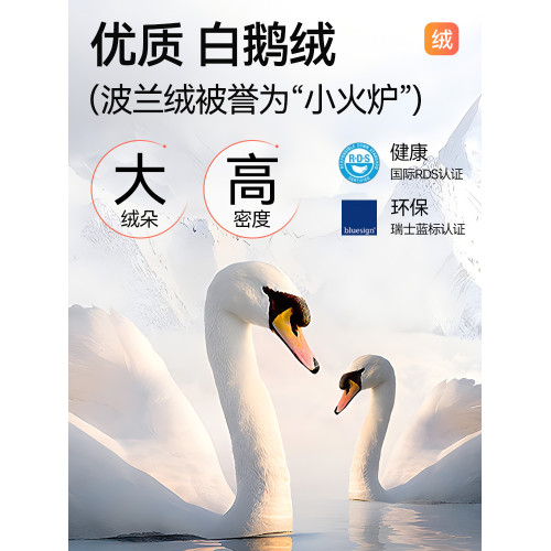 南極人保暖背心女士加絨加厚秋冬季髮熱防寒內衣打底上衣2025新款 南極人保暖背心女士加絨加厚秋冬季髮熱防寒內衣打底上衣2025新款