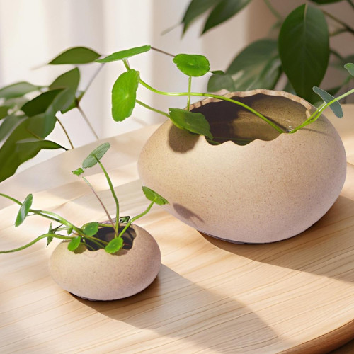 鳥巢蛋殼碗創意鴕鳥蛋餐具燒烤店甜品店擺盤生日特色餐廳拍照餐盤 鳥巢蛋殼碗創意鴕鳥蛋餐具燒烤店甜品店擺盤生日特色餐廳拍照餐盤