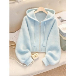 藍色連帽針織衫獨特漂亮毛衣外套女款2025早秋季多巴胺巨好看上衣