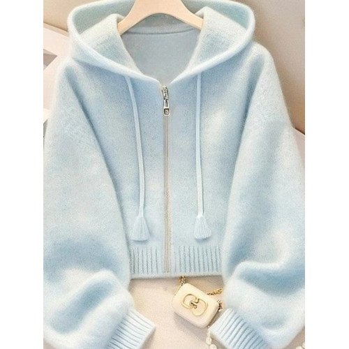 藍色連帽針織衫獨特漂亮毛衣外套女款2025早秋季多巴胺巨好看上衣 藍色連帽針織衫獨特漂亮毛衣外套女款2025早秋季多巴胺巨好看上衣