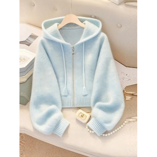 藍色連帽針織衫獨特漂亮毛衣外套女款2025早秋季多巴胺巨好看上衣 藍色連帽針織衫獨特漂亮毛衣外套女款2025早秋季多巴胺巨好看上衣