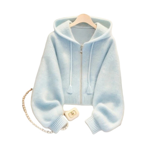 藍色連帽針織衫獨特漂亮毛衣外套女款2025早秋季多巴胺巨好看上衣 藍色連帽針織衫獨特漂亮毛衣外套女款2025早秋季多巴胺巨好看上衣