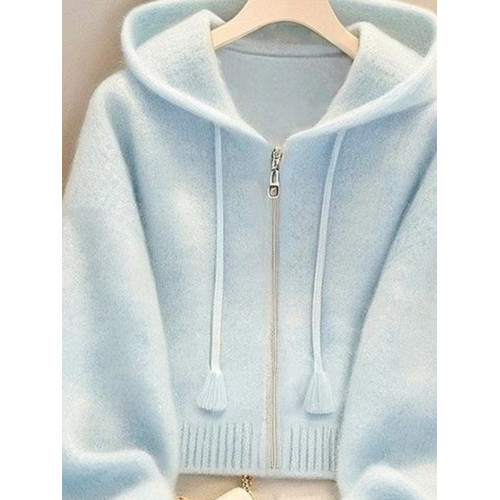 藍色連帽針織衫獨特漂亮毛衣外套女款2025早秋季多巴胺巨好看上衣 藍色連帽針織衫獨特漂亮毛衣外套女款2025早秋季多巴胺巨好看上衣