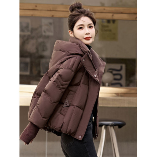 高級感超好看短款羽絨服女冬季2025年新款時尚歐貨連帽連帽厚外套 高級感超好看短款羽絨服女冬季2025年新款時尚歐貨連帽連帽厚外套