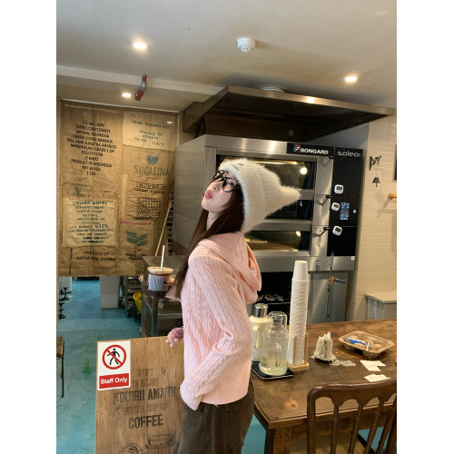 蘇三三 粉色連帽針織毛衣女春秋外穿2025早秋新款巨好看麻花上衣 蘇三三 粉色連帽針織毛衣女春秋外穿2025早秋新款巨好看麻花上衣