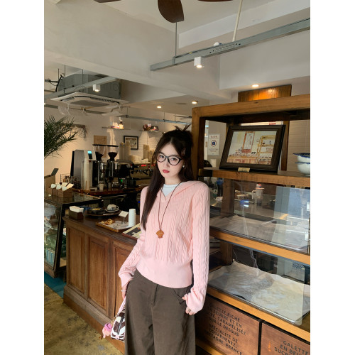 蘇三三 粉色連帽針織毛衣女春秋外穿2025早秋新款巨好看麻花上衣 蘇三三 粉色連帽針織毛衣女春秋外穿2025早秋新款巨好看麻花上衣