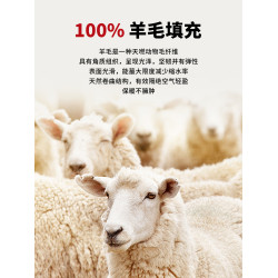 羊毛棉褲女士打底褲外穿保暖褲子冬季加絨加厚護膝東北冬裝褲外褲