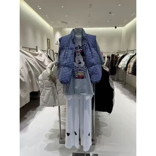 2025冬季新款羽絨馬甲女立領短款格子坎肩白鴨絨加厚保暖外套 2025冬季新款羽絨馬甲女立領短款格子坎肩白鴨絨加厚保暖外套