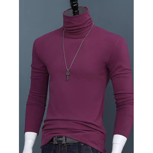 純色高領長袖打底衫男士2024秋冬新款修身秋款秋衣t恤簡約上衣 純色高領長袖打底衫男士2024秋冬新款修身秋款秋衣t恤簡約上衣