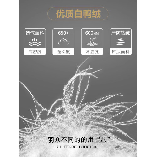 羽絨服男秋冬季2025新款帥氣加厚工裝襯衫翻領冬天裝潮牌鴨絨外套 羽絨服男秋冬季2025新款帥氣加厚工裝襯衫翻領冬天裝潮牌鴨絨外套