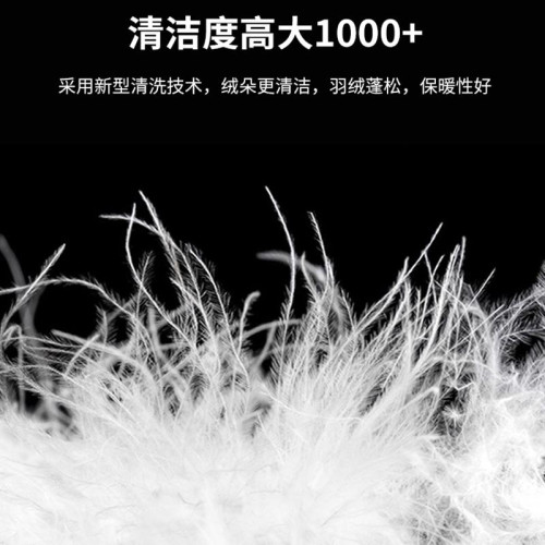 石墨烯羽絨服男款輕薄立領保暖白鴨絨內膽中老年冬季防風防水外套 石墨烯羽絨服男款輕薄立領保暖白鴨絨內膽中老年冬季防風防水外套