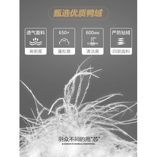 羽絨服男士秋冬季短款2025新款冬裝加厚保暖衣服立領潮牌夾克外套 羽絨服男士秋冬季短款2025新款冬裝加厚保暖衣服立領潮牌夾克外套