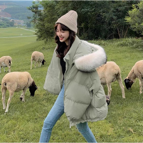 短款羽絨服女冬季韓版寬松潮ins大毛領冬裝加厚外套女2025年新款 短款羽絨服女冬季韓版寬松潮ins大毛領冬裝加厚外套女2025年新款
