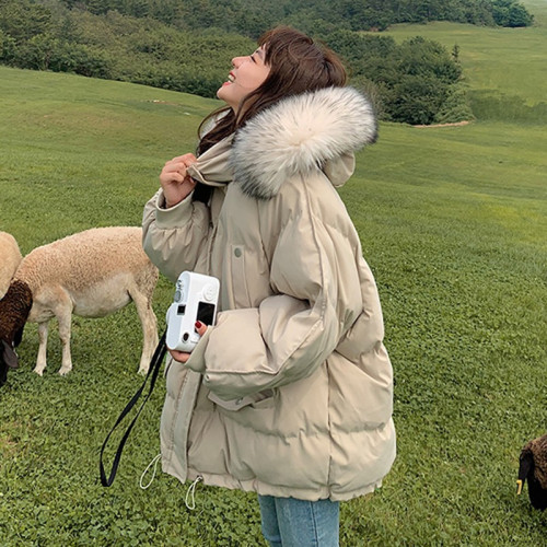 短款羽絨服女冬季韓版寬松潮ins大毛領冬裝加厚外套女2025年新款 短款羽絨服女冬季韓版寬松潮ins大毛領冬裝加厚外套女2025年新款