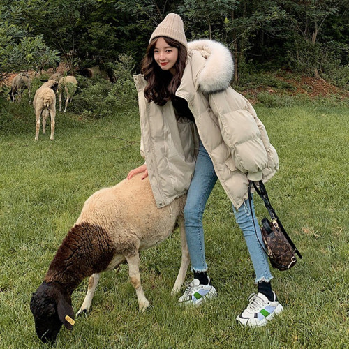 短款羽絨服女冬季韓版寬松潮ins大毛領冬裝加厚外套女2025年新款 短款羽絨服女冬季韓版寬松潮ins大毛領冬裝加厚外套女2025年新款