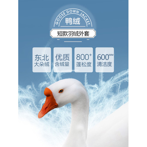 加厚工裝羽絨服男中長款2025冬季新款潮流休閒連帽白鴨絨保暖外套 加厚工裝羽絨服男中長款2025冬季新款潮流休閒連帽白鴨絨保暖外套